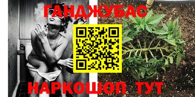 ПСИЛОЦИБИНОВЫЕ ГРИБЫ Кимры