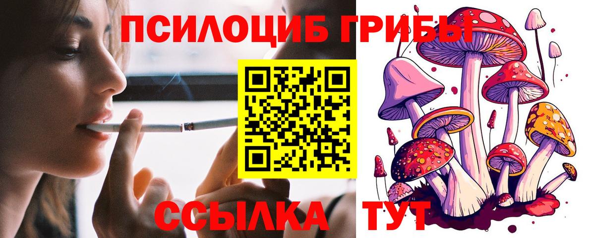 Галлюциногенные грибы MAGIC MUSHROOMS Киселёвск