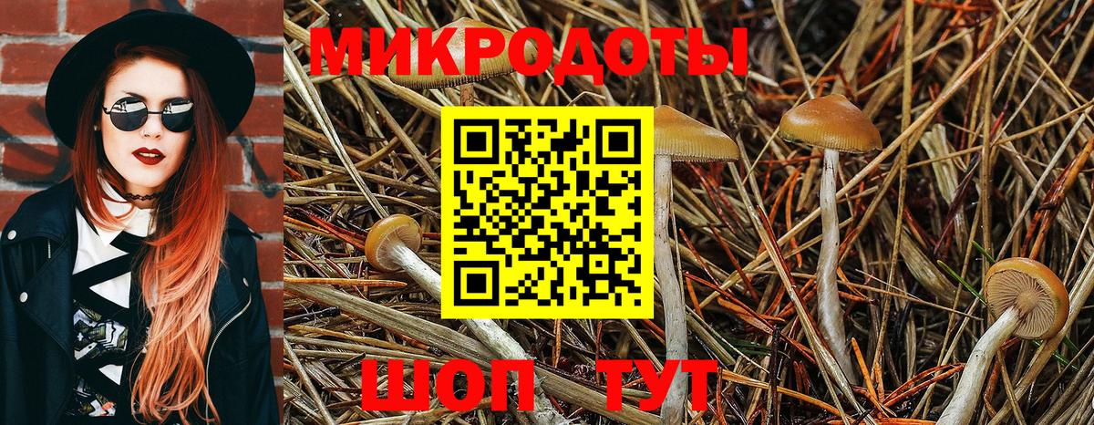Галлюциногенные грибы ЛСД  Вход с VPN  Киселёвск  Галлюциногенные грибы Magic Shrooms 